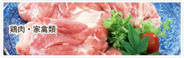 食肉卸 宮崎 ジョイントコーポレーション 鶏肉・家禽類